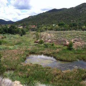 Old Filter Plant Restoration