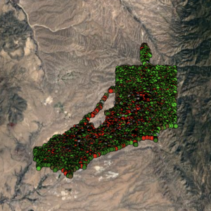 City of Santa Fe i-Tree Canopy Report 2023